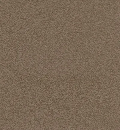 Stoffmuster Pelle 188 StileSofa