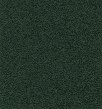 Stoffmuster Pelle 189 StileSofa