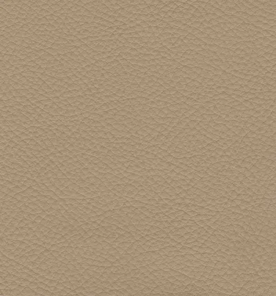 Stoffmuster Pelle 187 StileSofa