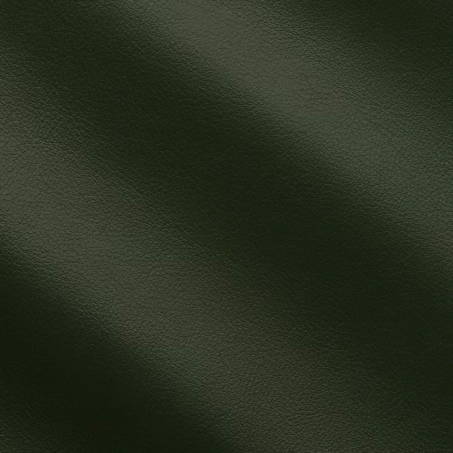 Campione tessuto JOI 32 · Verde Bosco StileSofa