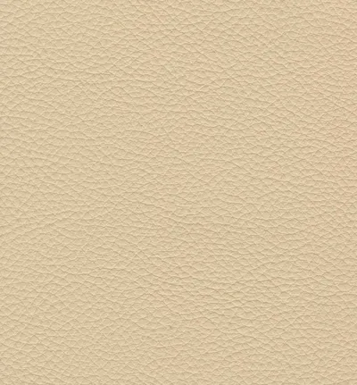 Stoffmuster Pelle 181 StileSofa