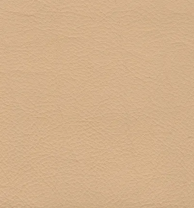 Stoffmuster Pelle 186 StileSofa