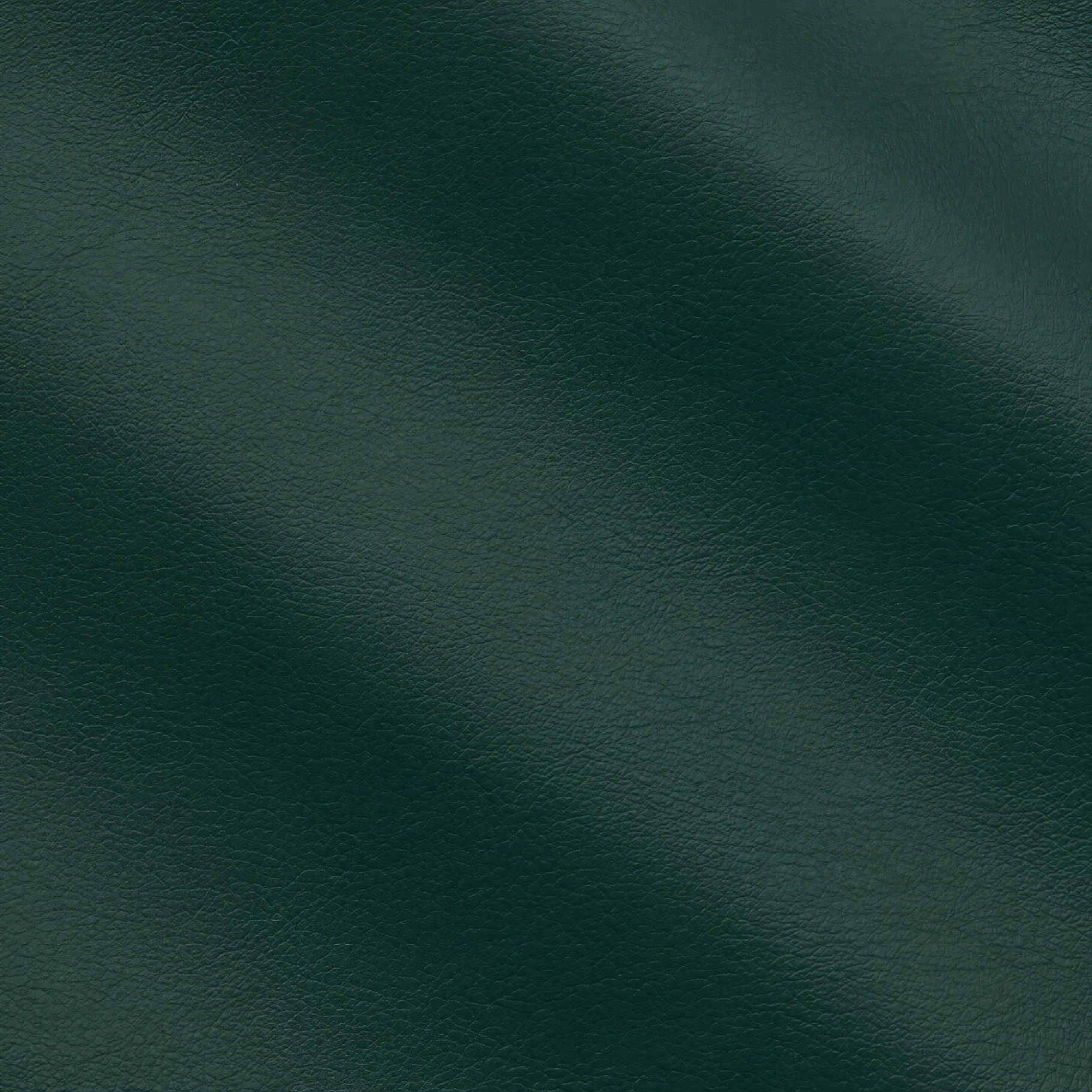 Campione tessuto JOI 29 · Verde Alpino StileSofa