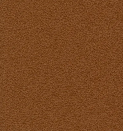 Stoffmuster Pelle 183 StileSofa